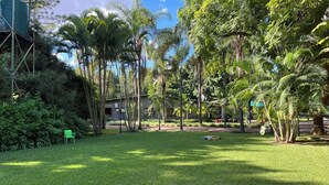 A lush garden with palm trees, a green chair, and a building in the background. - Acamms Lodge (Lusaka)