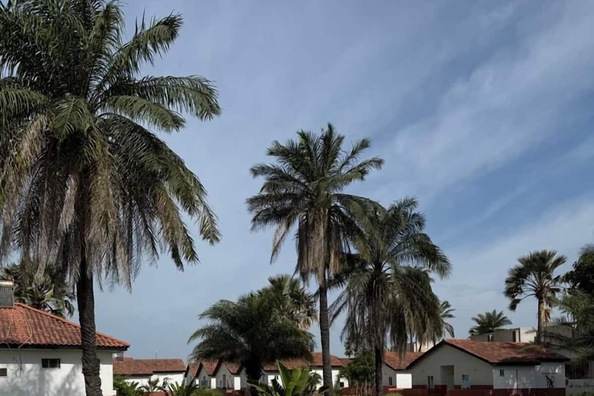 إطلالة على الحديقة