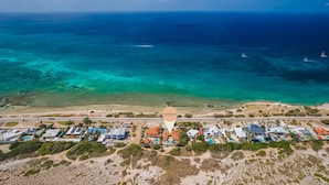 Beach nearby - NEW: Oceanfront Villa w/Private HotTub and Pool (Noord)