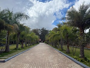 A paved pathway flanked by palm trees and greenery, leading to a building with a red roof. - Whispering Acres Whitefield Farm Estate (Hoskote)