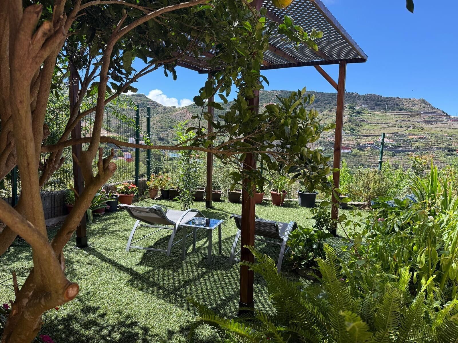 A covered outdoor seating area with a pergola, surrounded by potted plants and ferns, overlooking a hilly landscape.