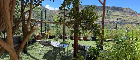 A covered outdoor seating area with a pergola, surrounded by potted plants and ferns, overlooking a hilly landscape.