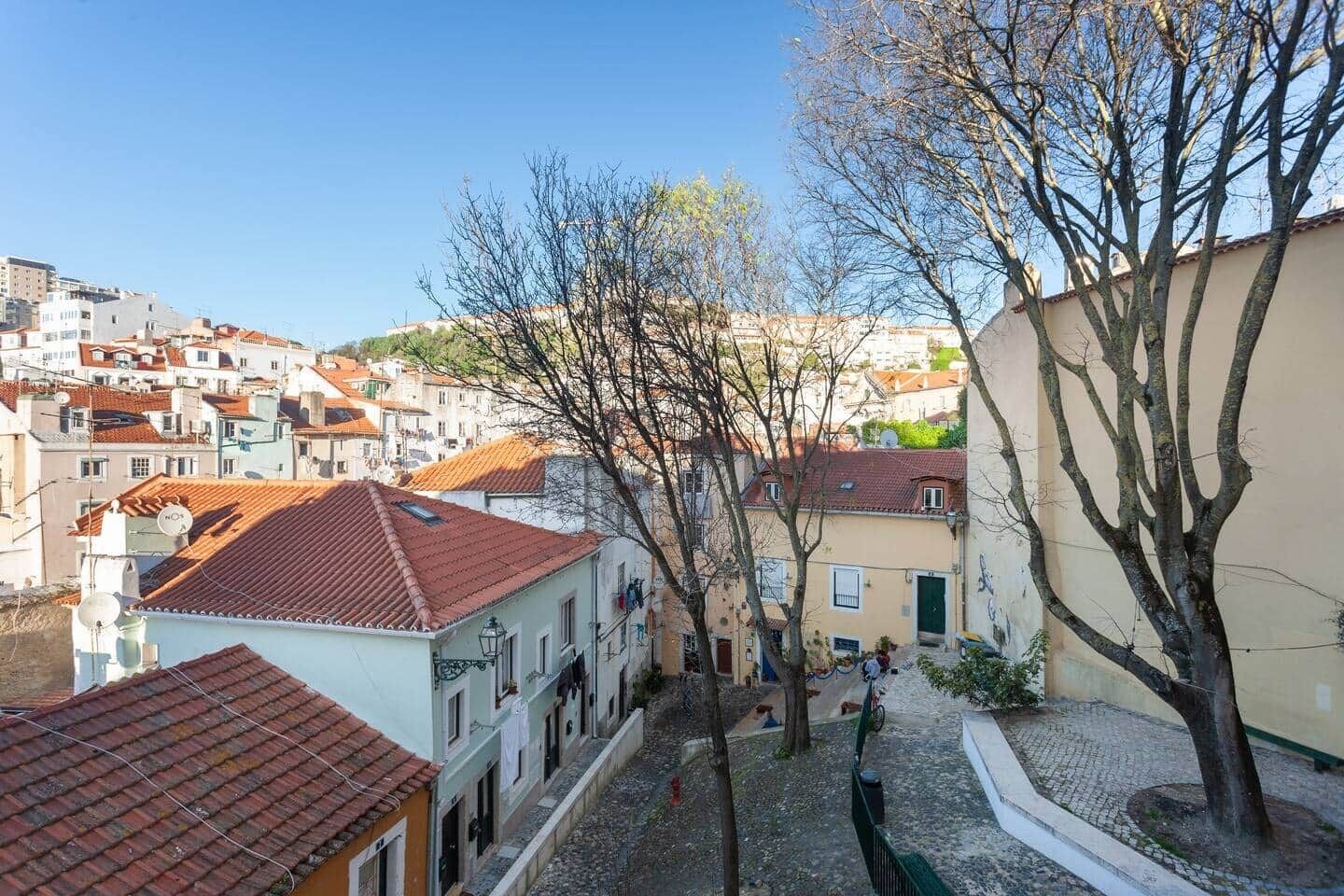 A narrow street with buildings on either side, a tree-lined path, and a cobblestone road.