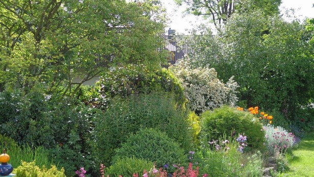 A garden with various plants and flowers, a stone wall, and a building in the background. - Apartment Noack, 50 m² with Private Terrace, Garden Area, and Wi-Fi (Immenstaad am Bodensee)