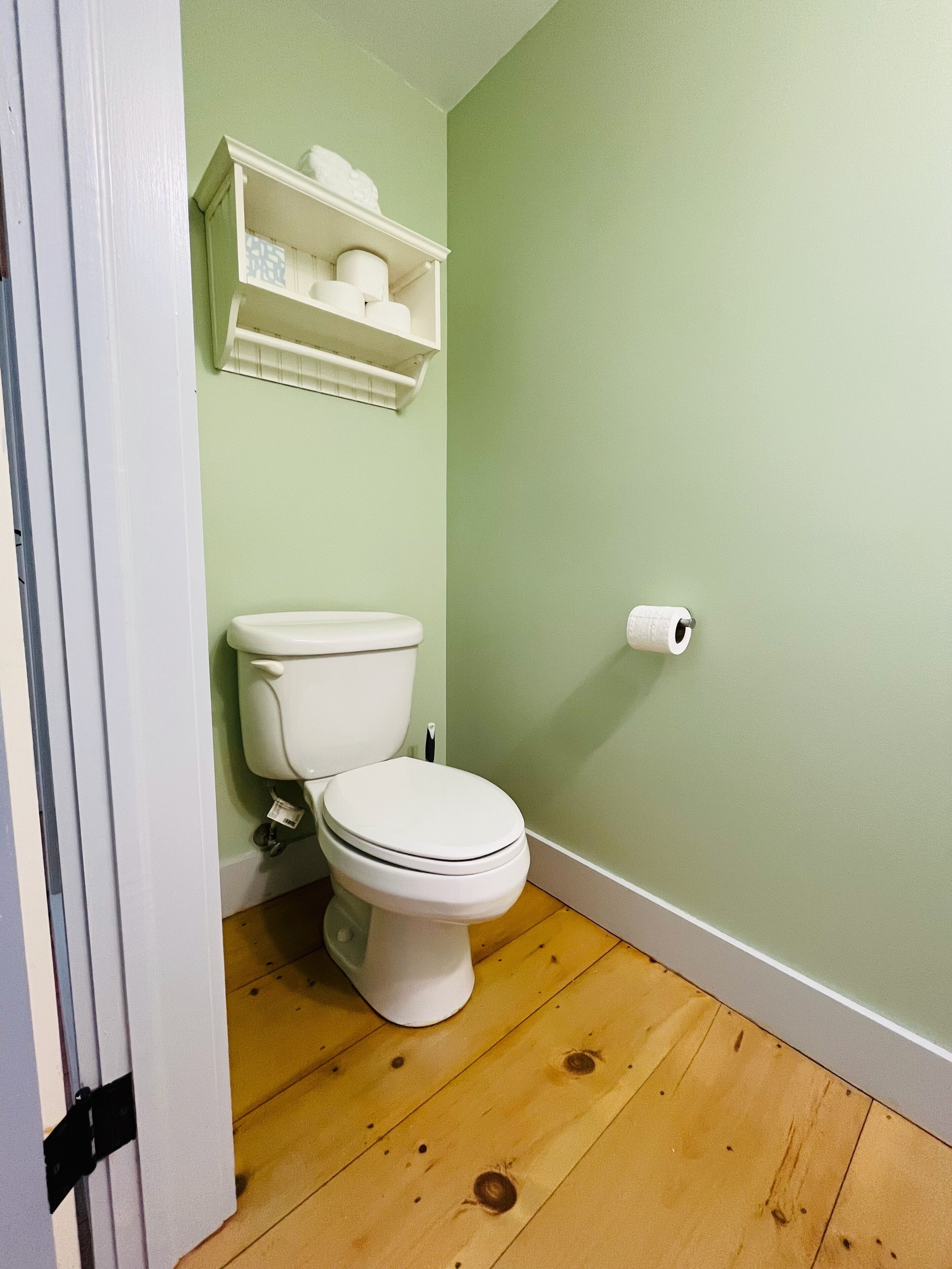 A bathroom with a toilet, a shelf above it, and a roll of toilet paper on the wall.