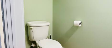 A bathroom with a toilet, a shelf above it, and a roll of toilet paper on the wall.