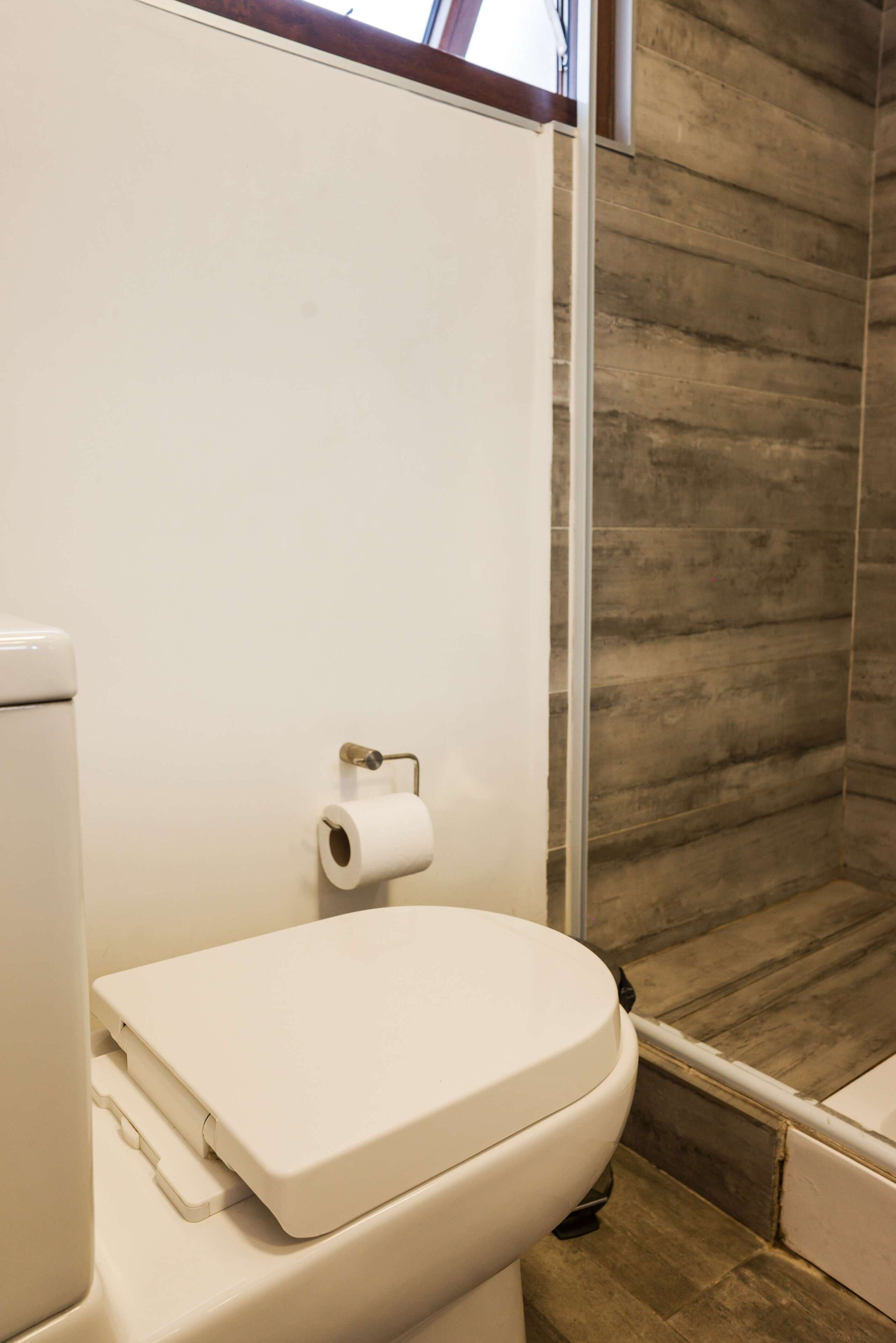 A bathroom with a toilet, a roll of toilet paper, and a shower area with wooden walls.