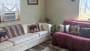 TV - Secluded and cozy cabin in the country. Dark skies for star gazing. (Rocksprings)