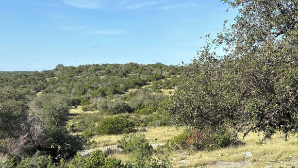 A view from a wooden balcony overlooking a hilly landscape with dense vegetation and a clear sky. - Secluded and cozy cabin in the country. Dark skies for star gazing. (Rocksprings)