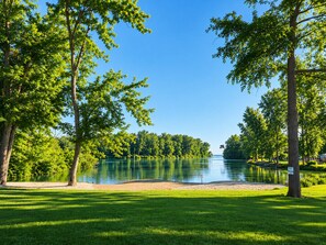 Un parque tranquilo junto al lago, con abundante vegetación y un cielo azul despejado.