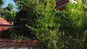 A multi-story building with a sign for "Innate Pension & Cafe" offering fair tourism, yoga, village hikes, and treks. - Peaceful, Charming- bedroom bed & breakfast in lovely Dhulikhel #3 (Dhulikhel)