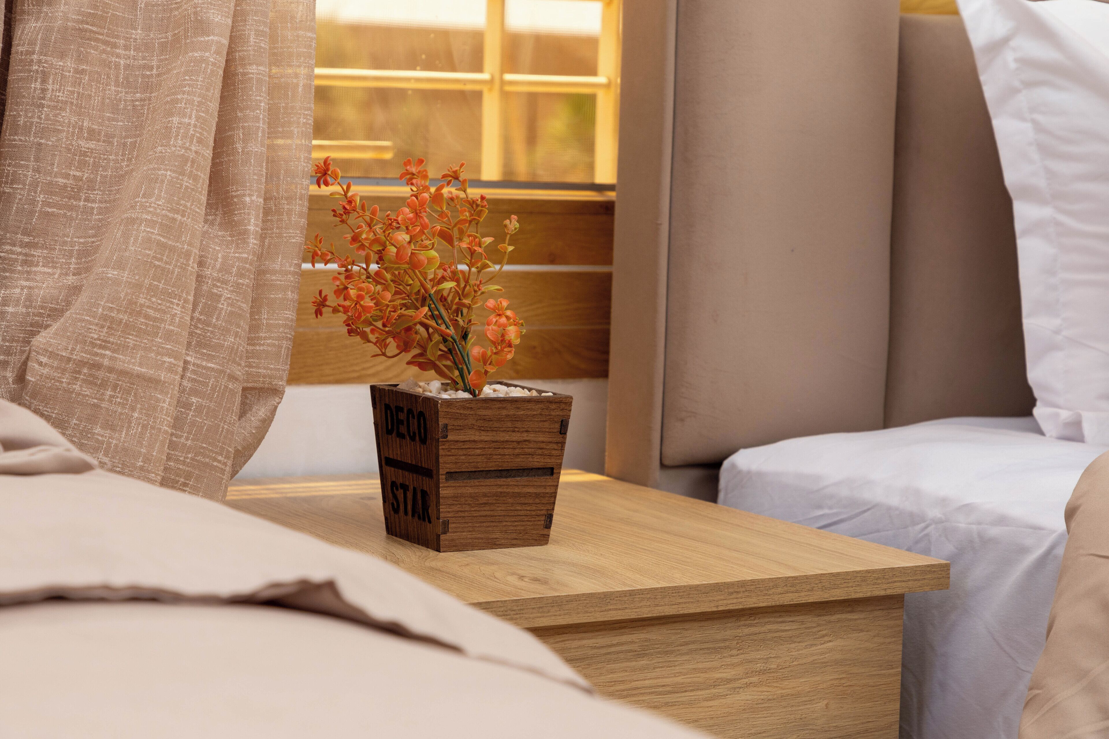A wooden bedside table with a wooden box labeled "DECO STAR" containing a small plant.