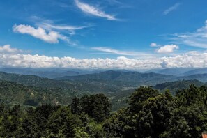 Miscellaneous - Peaceful, Charming- bedroom bed & breakfast in lovely Dhulikhel #5 (Dhulikhel)