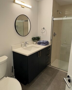 Hair dryer, towels, soap, toilet paper