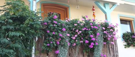 Detall de l'exterior