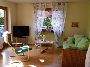 TV, DVD player, stereo - Apartment '1' with Balcony and Wi-Fi (Herbolzheim)