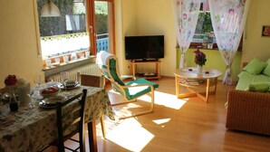 A living room with a dining table, a television, a sofa, and a window with curtains. - Apartment '1' with Balcony and Wi-Fi (Herbolzheim)