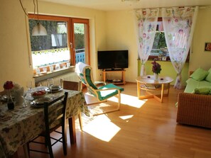 TV, DVD player, stereo - Apartment '1' with Balcony and Wi-Fi (Herbolzheim)