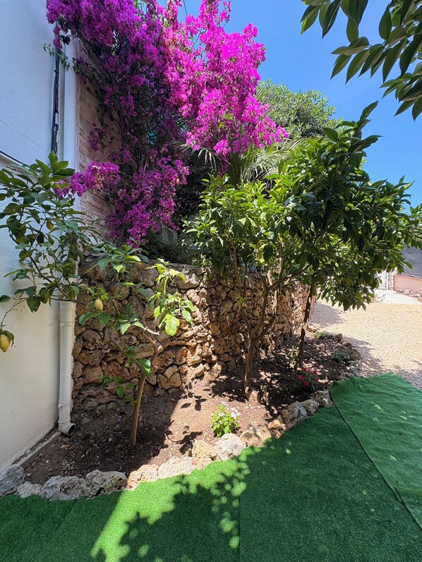 Property grounds - COSY apartment close to the sea (Fréjus)