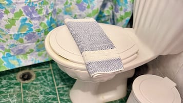 Basic Double Room, Balcony, Courtyard View | Bathroom | Shower, hair dryer, slippers, towels