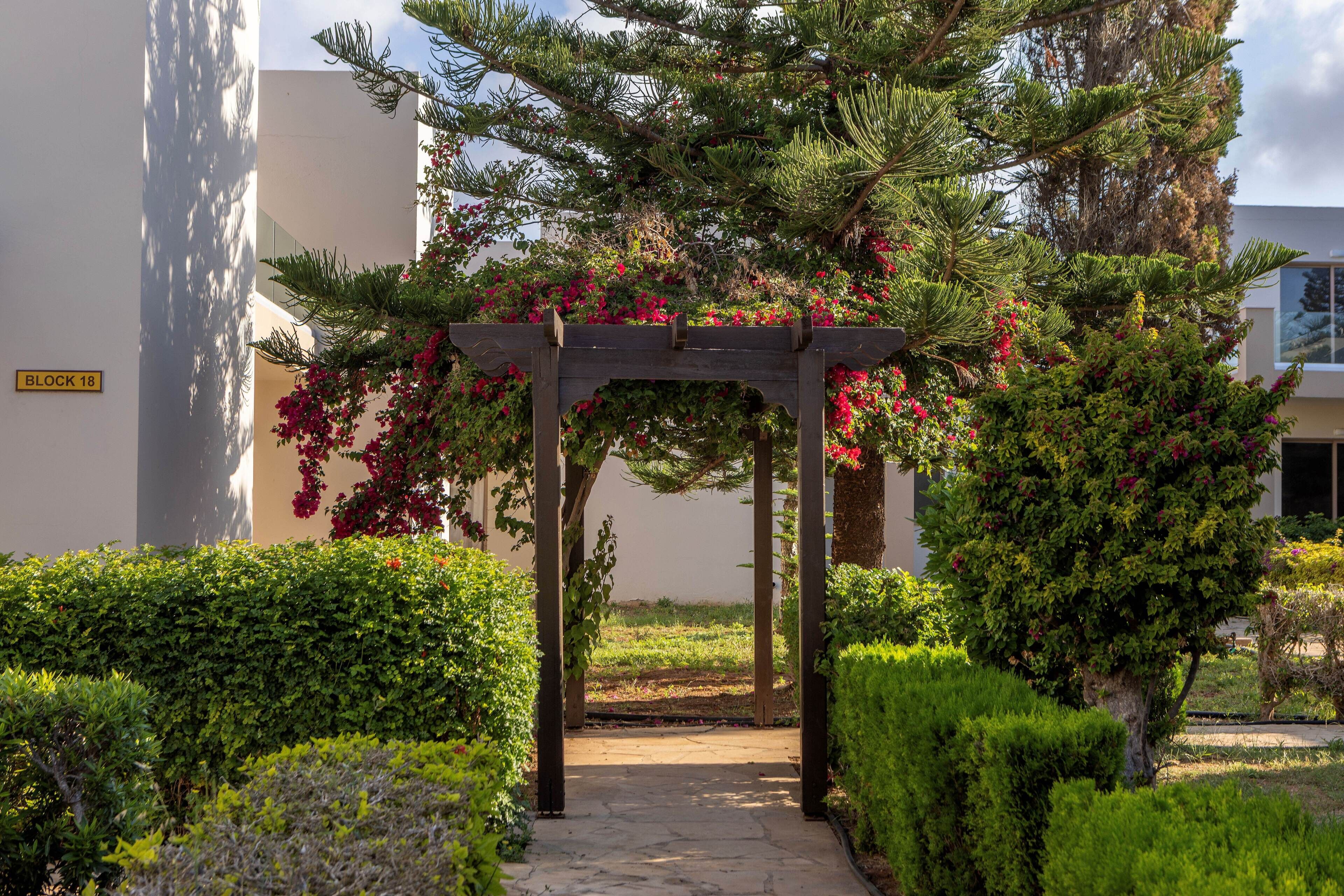 Jardim