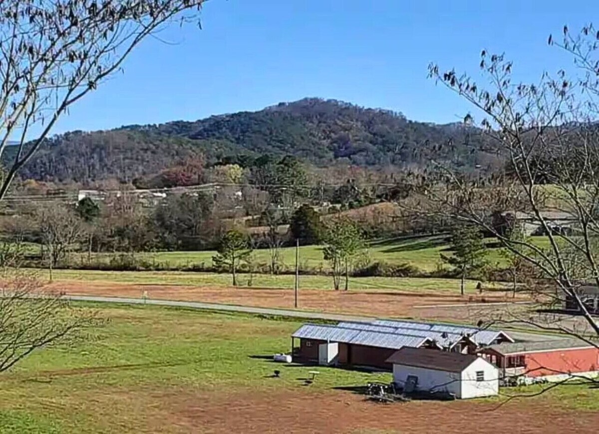 Immagine del profilo dell’host