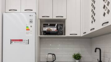 Lägenhet Classic - utsikt mot staden | Eget kök | Frys