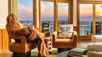 TV connectée, cheminée, jeux vidéo, baby-foot