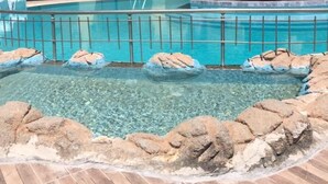 A pool area with clear water, surrounded by rocks and a tiled deck. - Rayon Apart hotel (Marmaris)