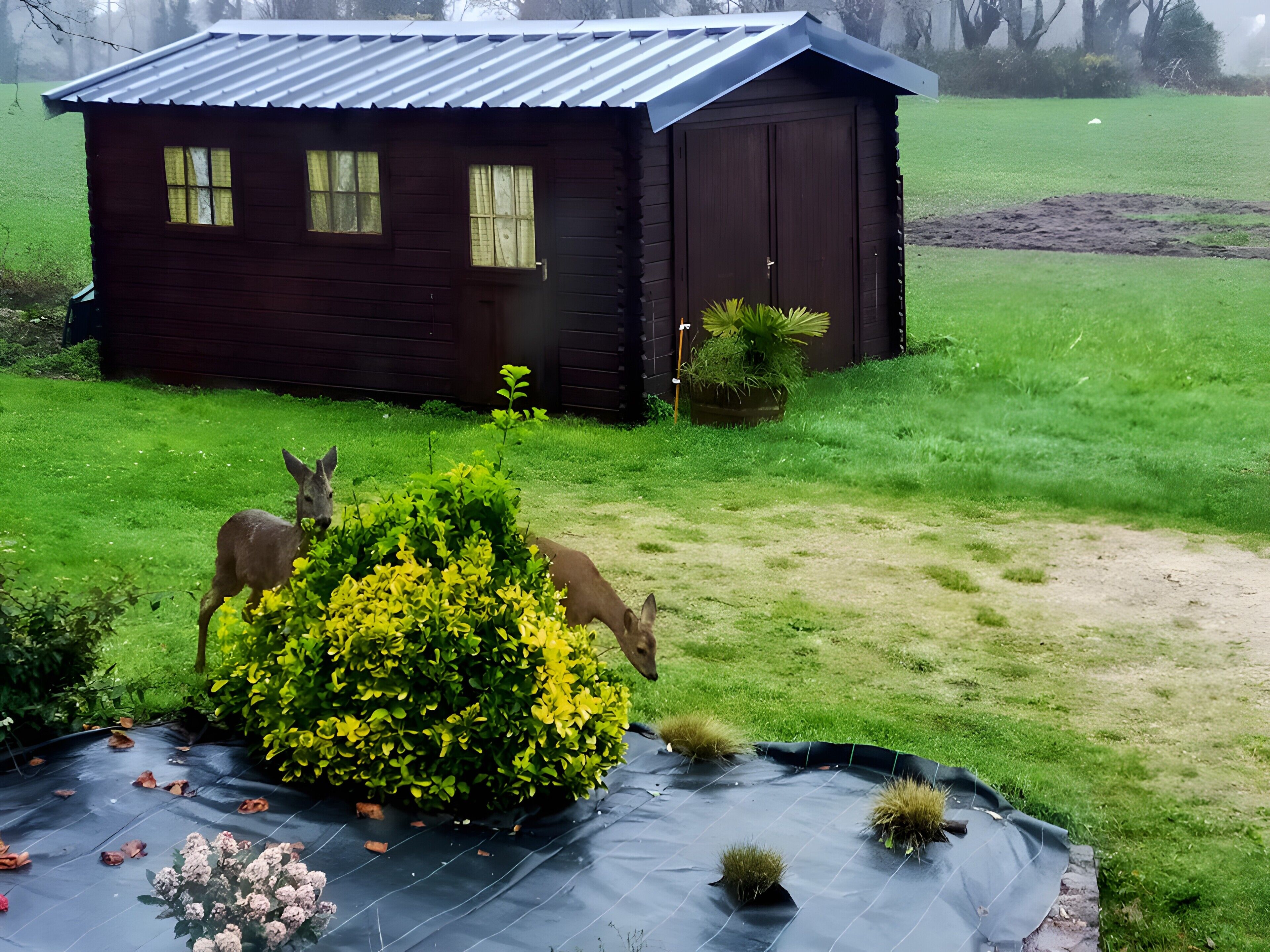 Enceinte de l’hébergement