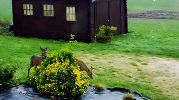 Enceinte de lâhĂ©bergement