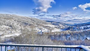 Apartment, Mountain View | Terrace/patio