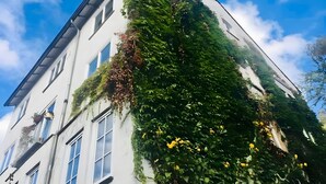 A building with a white facade, multiple windows, and a number '34' on the side. - Room 'Mondzimmer' with Wi-Fi (Kassel)