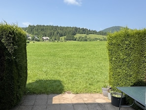 Um pátio pavimentado com vista para um campo verde e casas ao longe.