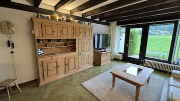 Fernseher, Kamin, DVD-Player