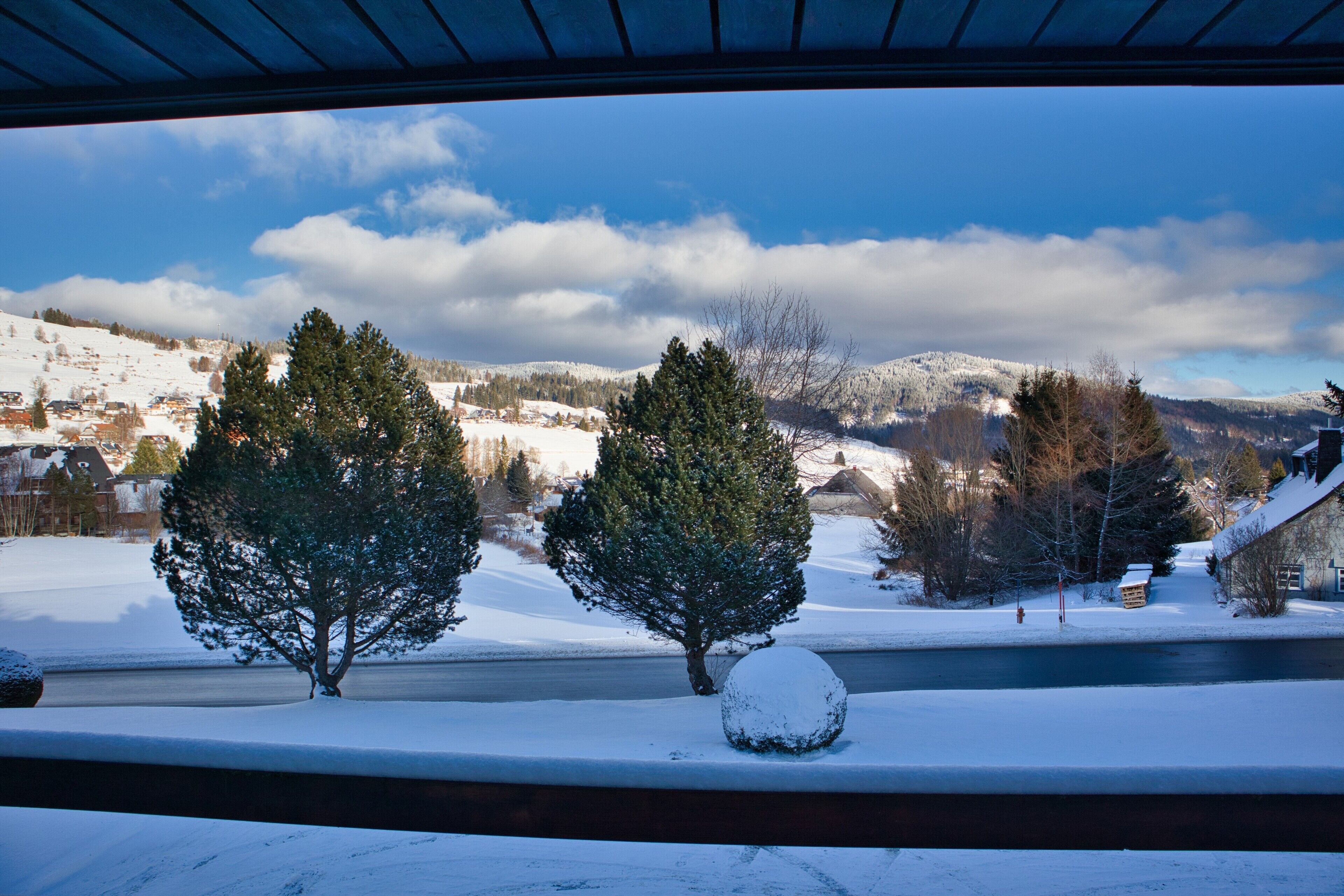 A snowy landscape with trees and a clear sky.