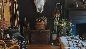 A cozy living room with a dark wall, a wooden floor, a fur rug, and various plants and furniture. - Designer Corner Unit Suite, Cozy 1-bedroom apt, Laundry, AC, (New York)
