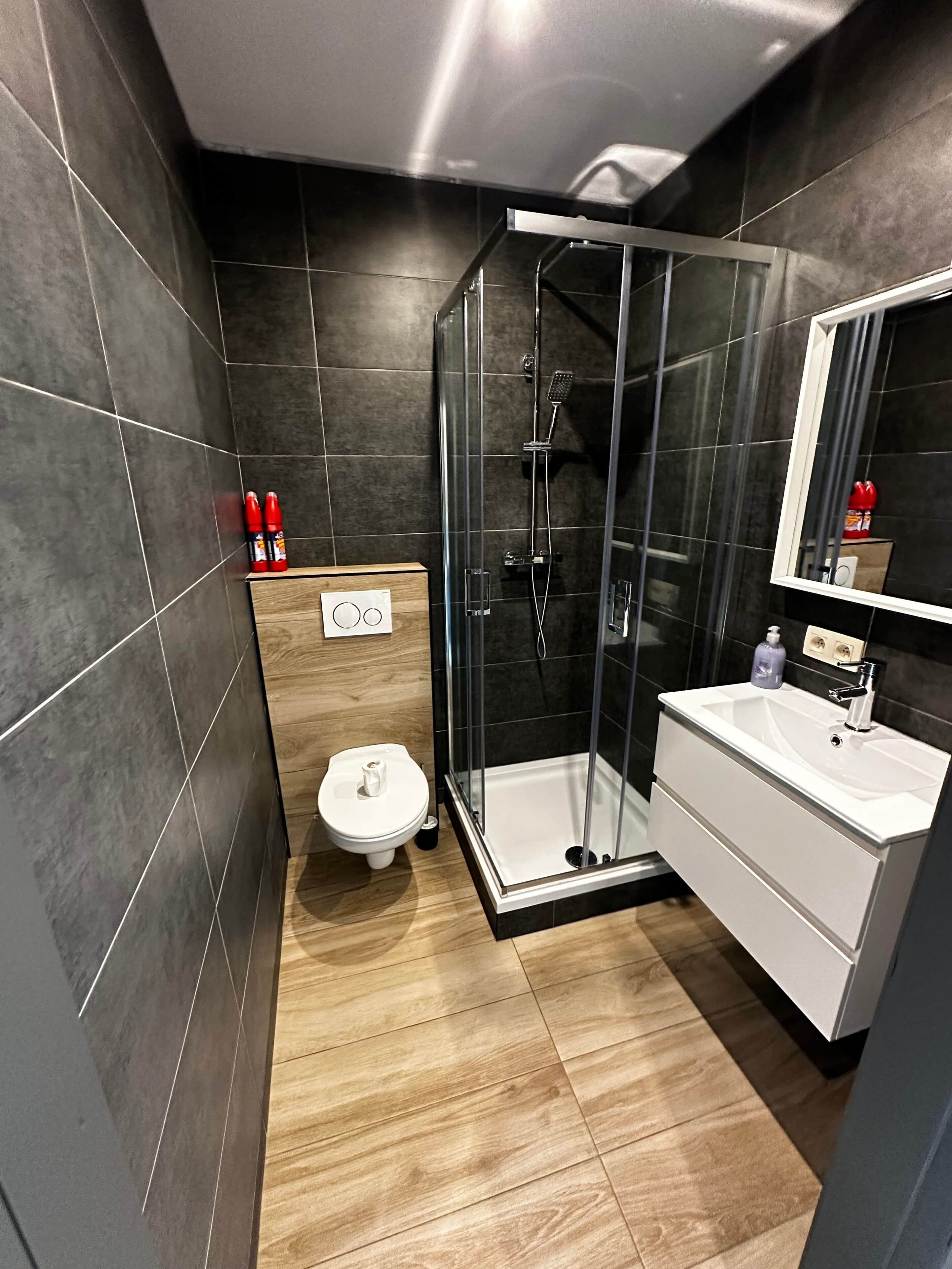 Douche, sèche-cheveux, serviettes fournies, papier toilette