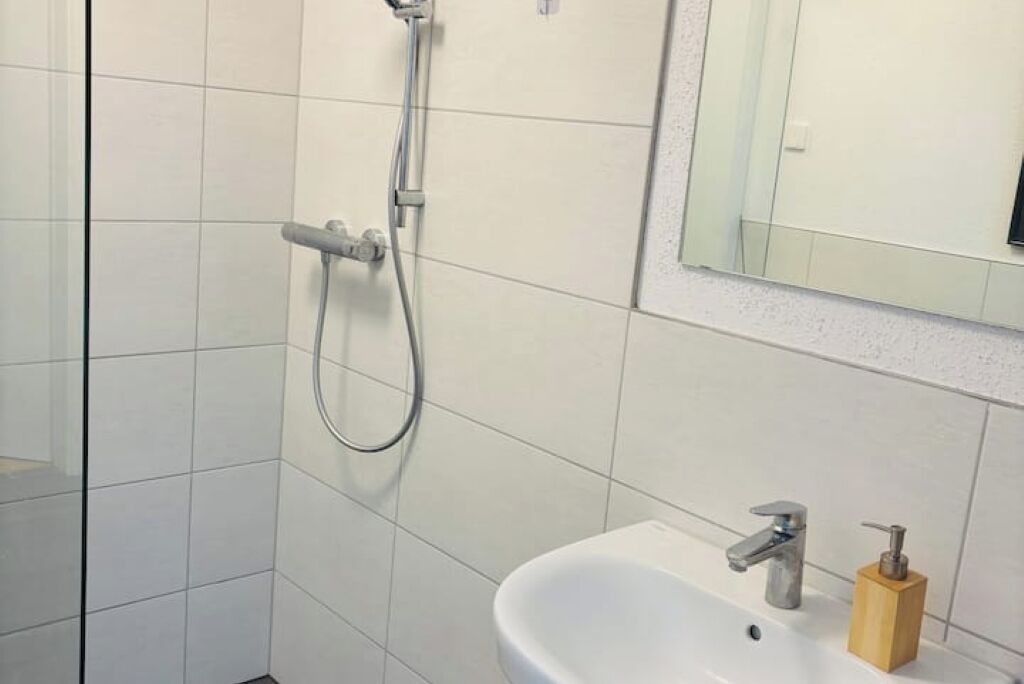 Dusch, hårtork, handdukar och toalettpapper