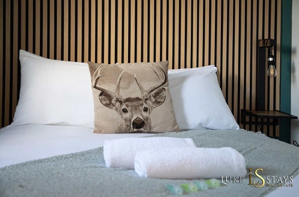 Fer et planche à repasser, accès à Internet, literie fournie