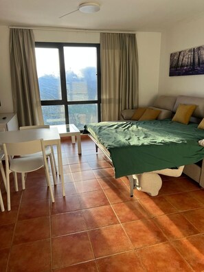 Deluxe Apartment, Mountain View