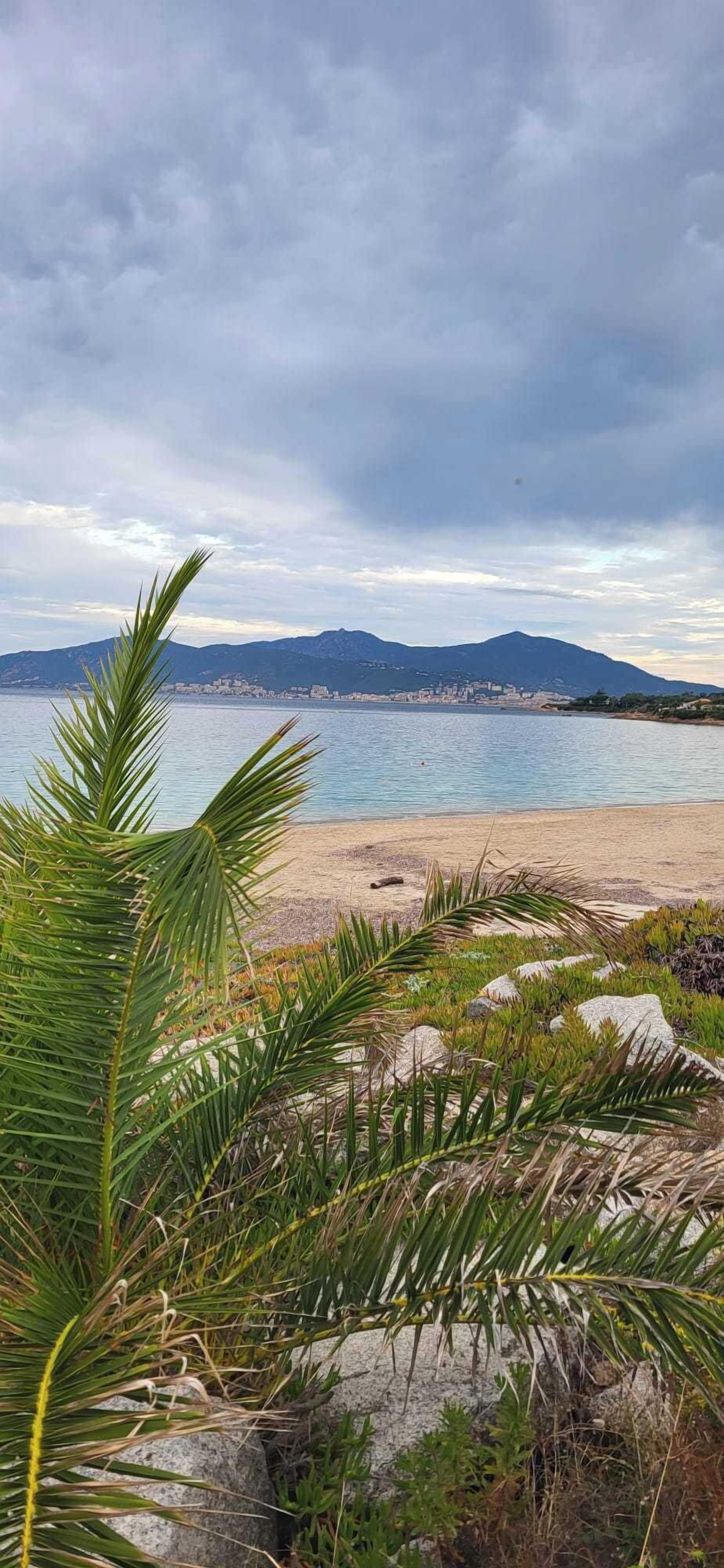 بالقرب من الشاطئ