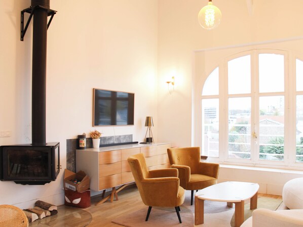 TV, fireplace, books