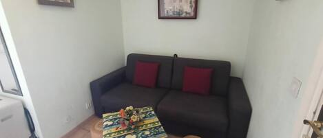 A small living room with a dark sofa, two red cushions, and a patterned coffee table.
