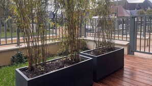 Un jardín con plantas altas en macetas rectangulares, cerca de metal y terraza de madera.