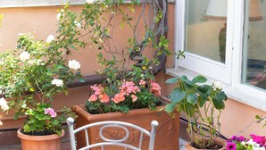 A patio with potted plants, a white metal chair, and a window with a view of the street. - Rental in Rome Rental in Rome Tre Lune Penthouse (Rome)