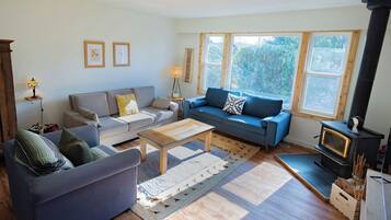 Smart TV, chimenea y libros