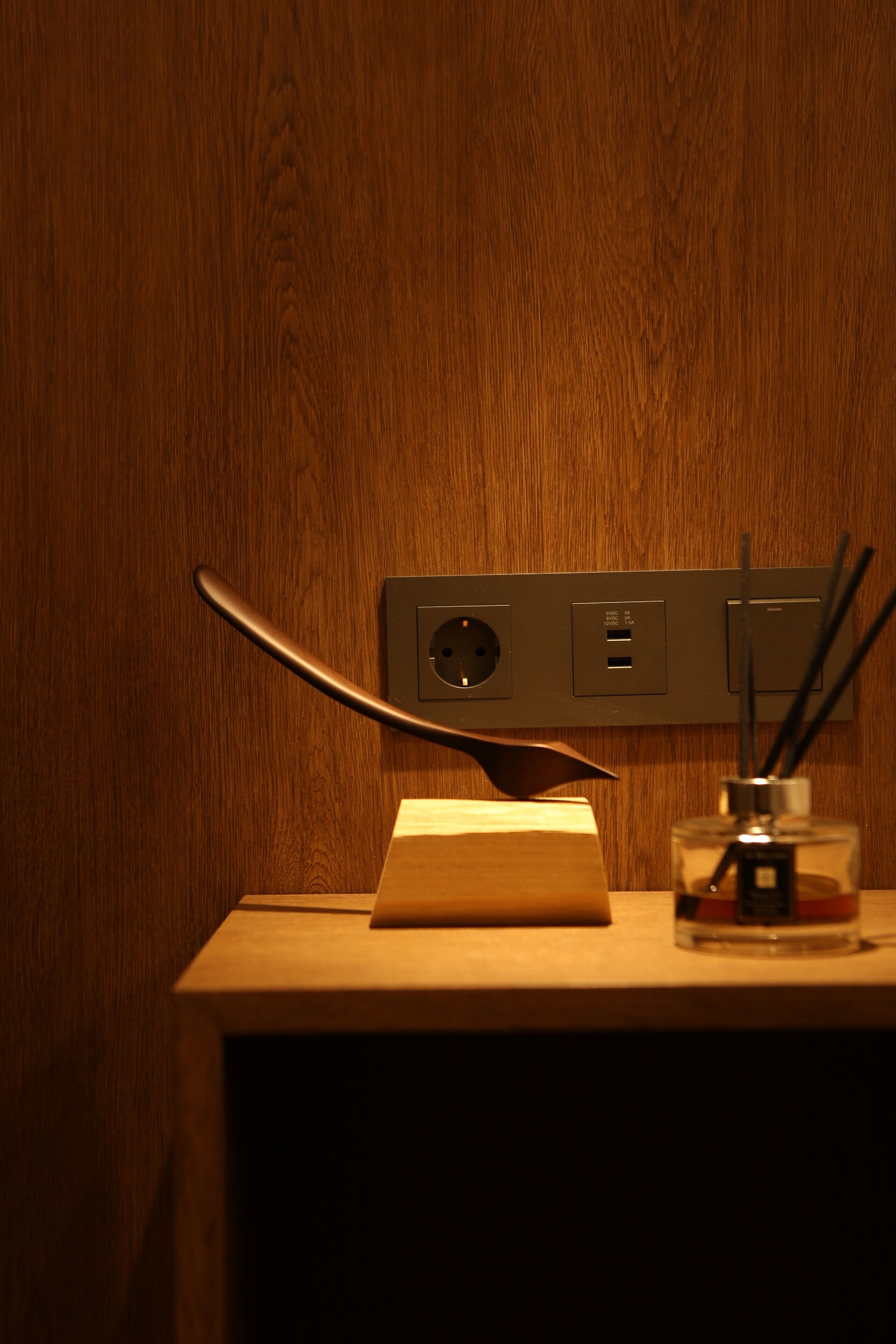 Pared de madera con un enchufe, un puerto USB y un interruptor.