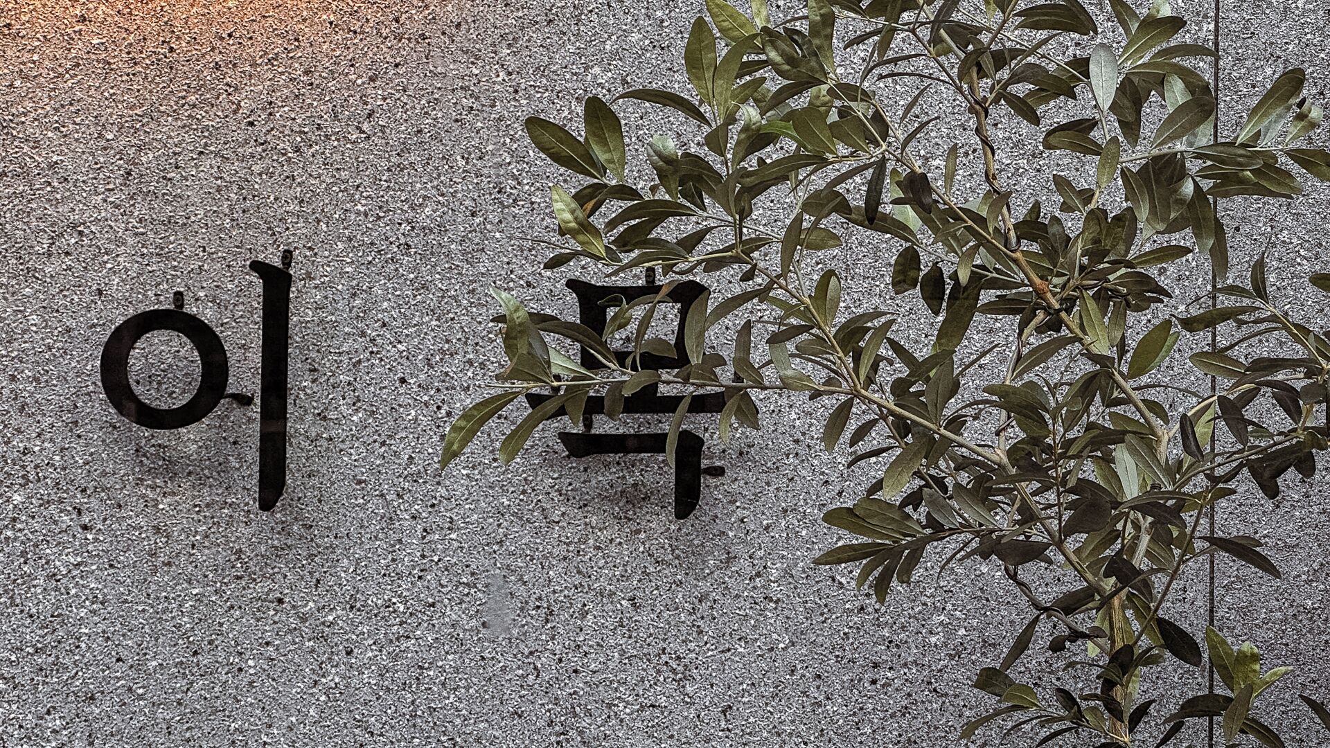 المنشأة من الخارج