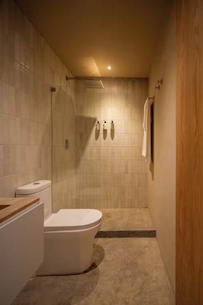 Shower, towels, soap, shampoo